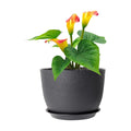 Meowell 12 inch Large Plant Pots, Plastic Planters with Drainage Holes and Saucers, Flower Pots for Indoor Outdoor