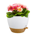 Meowell 12 inch Large Self Watering Pots for Indoor Outdoor Plants, Plant Pots with Mesh Drainage Holes for Garden