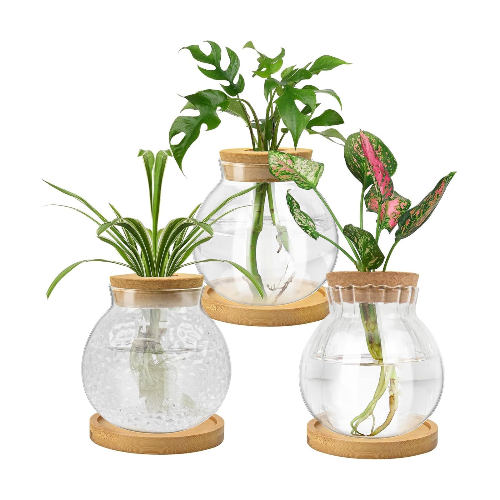 Plant Propagation Station, Water Planting for Plants with Tray & Wooden Saucer, Hydroponics Plants Jars Home Office