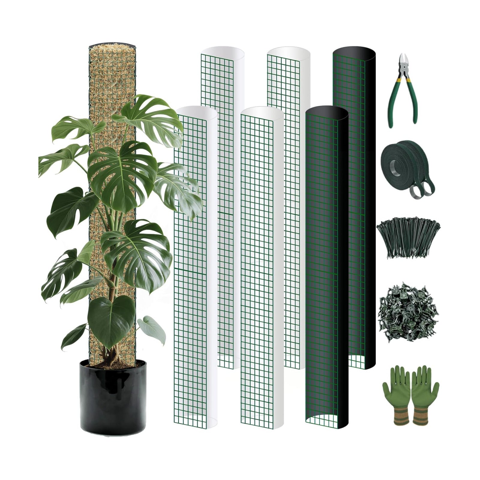 Metal Moss Poles for Climbing Plants, D-Shape Sphagnum Moss Pole Monstera Plant Support for Climbing Plants, DIY Plant