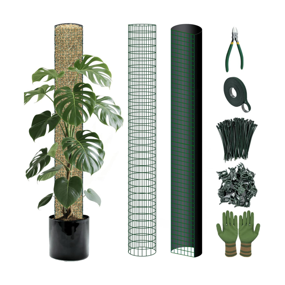 Metal Moss Poles for Climbing Plants, D-Shape Sphagnum Moss Pole Monstera Plant Support for Climbing Plants, DIY Plant Stakes Work with Sphagnum Moss (4ft D-Shaped & 6ft Round)