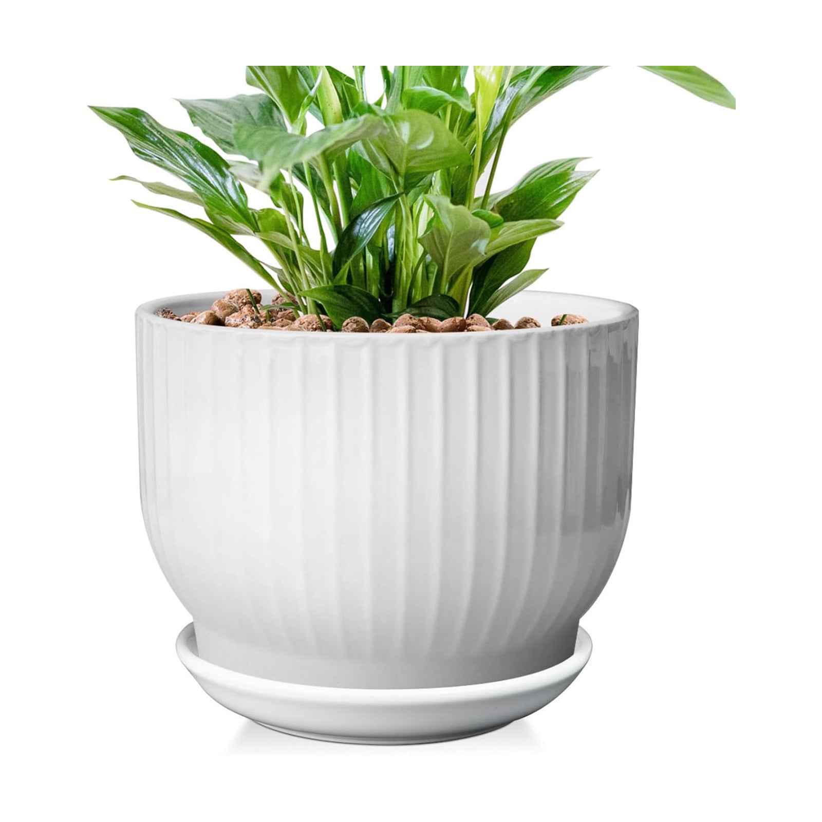 8 Inch Plant Pot,Ceramic Planter with Drainage and Saucer,Ceramic Pots for Plants,Indoor Plant pots,Ceramic Flower