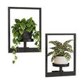 Bamworld Wall Plant Holder Plant Stand Indoor Wall Planters Black