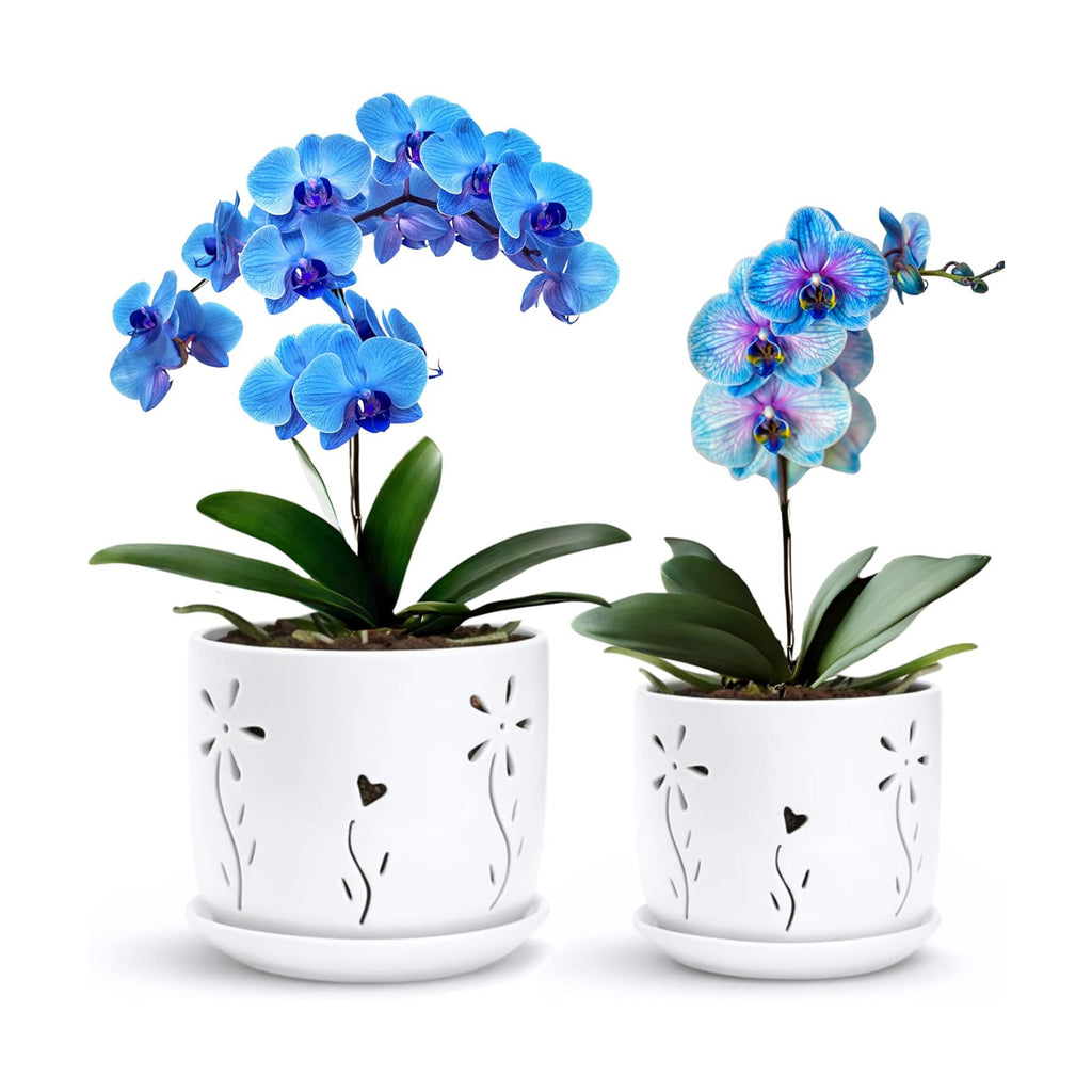 2 Pack, 5 + 6 Inch White Orchid Pots with Holes and Saucer, Ceramic Orchid Planters for Repotting with Drainage Holes