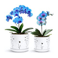 2 Pack, 5 + 6 Inch White Orchid Pots with Holes and Saucer, Ceramic Orchid Planters for Repotting with Drainage Holes