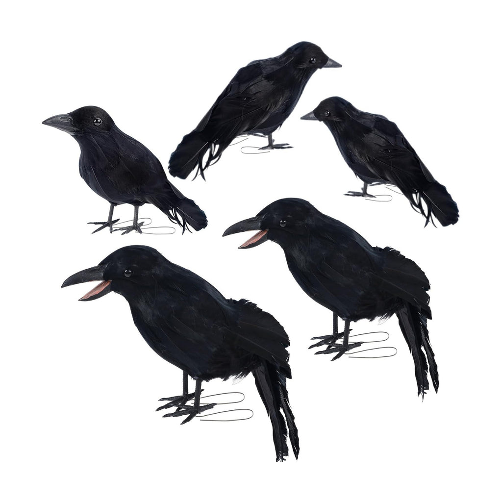 DR.DUDU 5 Pack Halloween Crows Decorations Fake Crow and Ravens