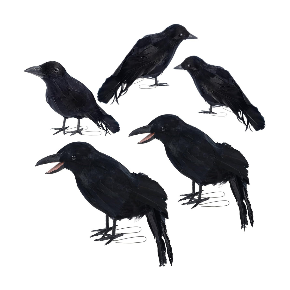 DR.DUDU 5 Pack Halloween Crows Decorations Fake Crow and Ravens