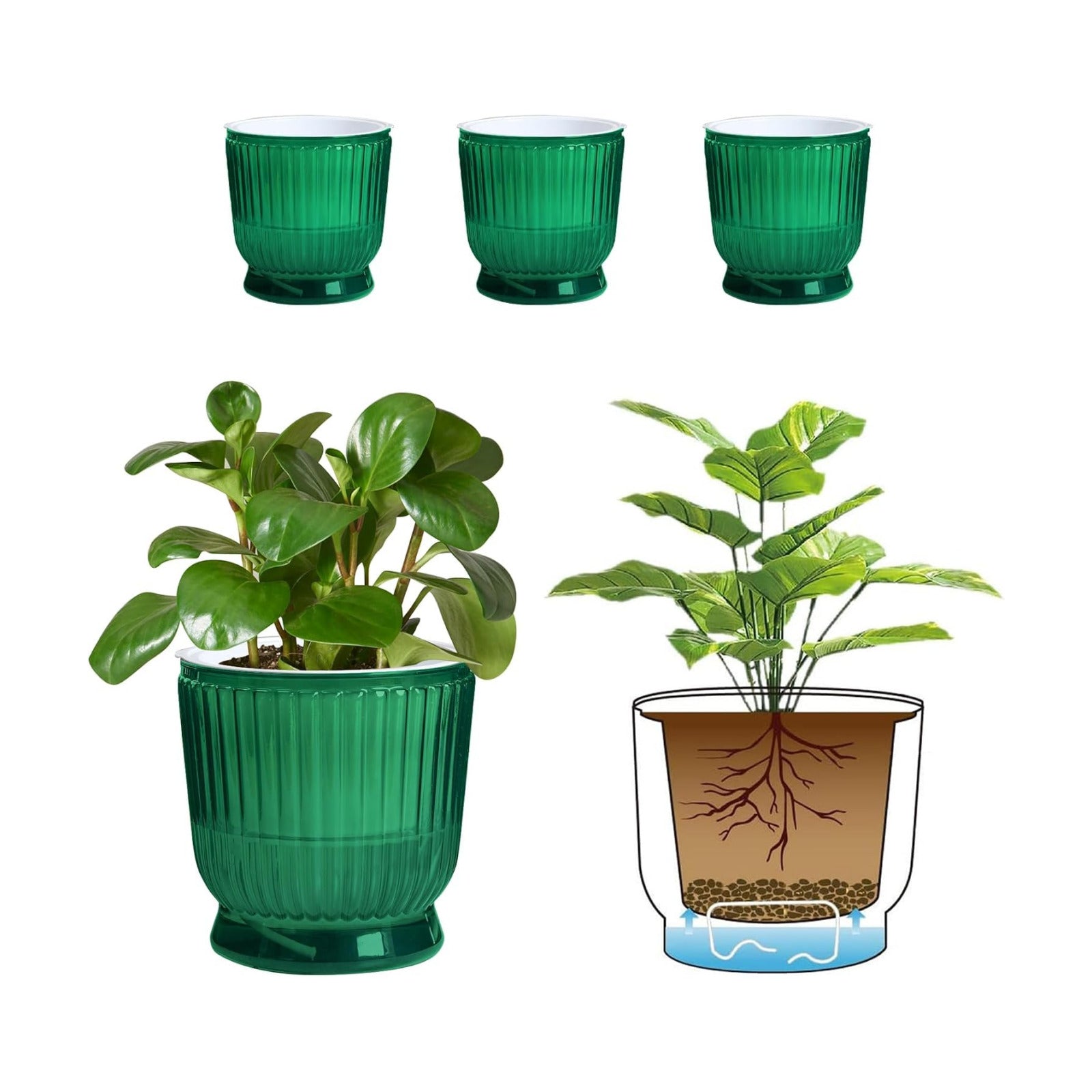 T4U Self Watering Pots for Indoor Plants 6 Inch 4 Pack Planter Green | Clear visible water level, Pothos ferns herbs
