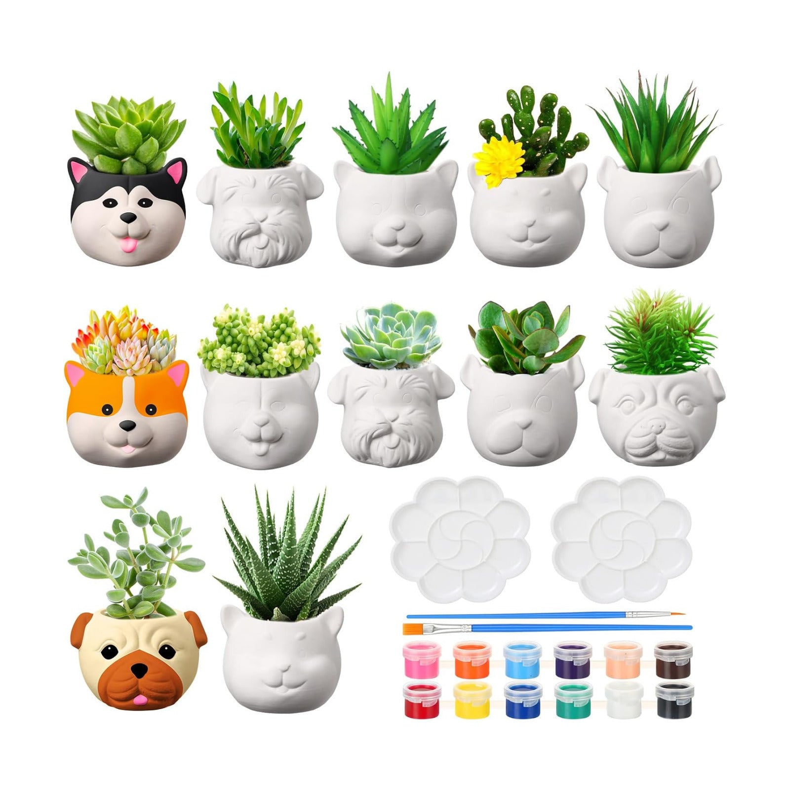 Hushee 12 Sets Ceramic Succulent Pots to Paint with Drainage | Paintable Succulent Plant Pots, 12 Styles, Small DIY