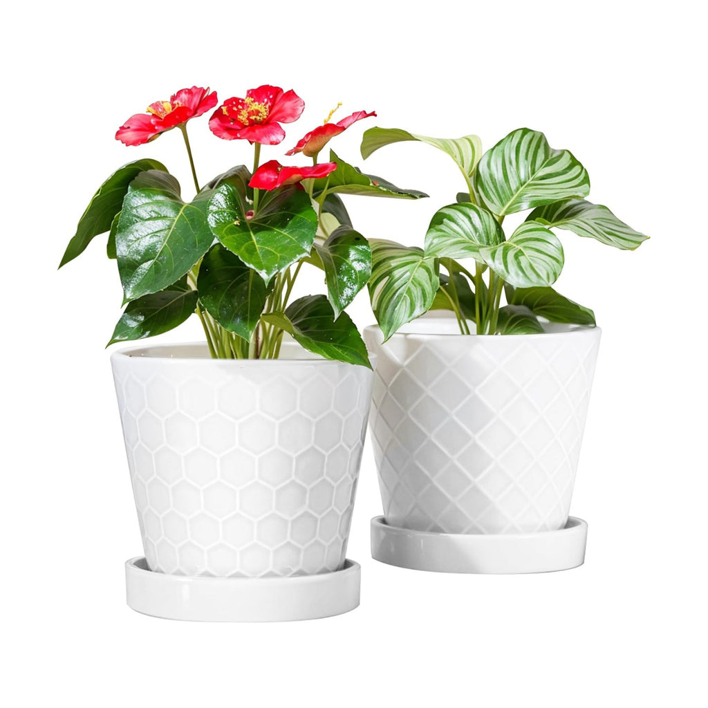 BUYMAX 6 Inch Plant Pot Ceramic Flower Pots Set of 2 with Drainage Hole | Includes Ceramic Trays | Clean White Finish