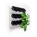 BOXSAND-12 (24"x26") Living Wall - Wall Planter, Vertical Garden for 12 Plants, Indoor/Outdoor, 2 Screws Install