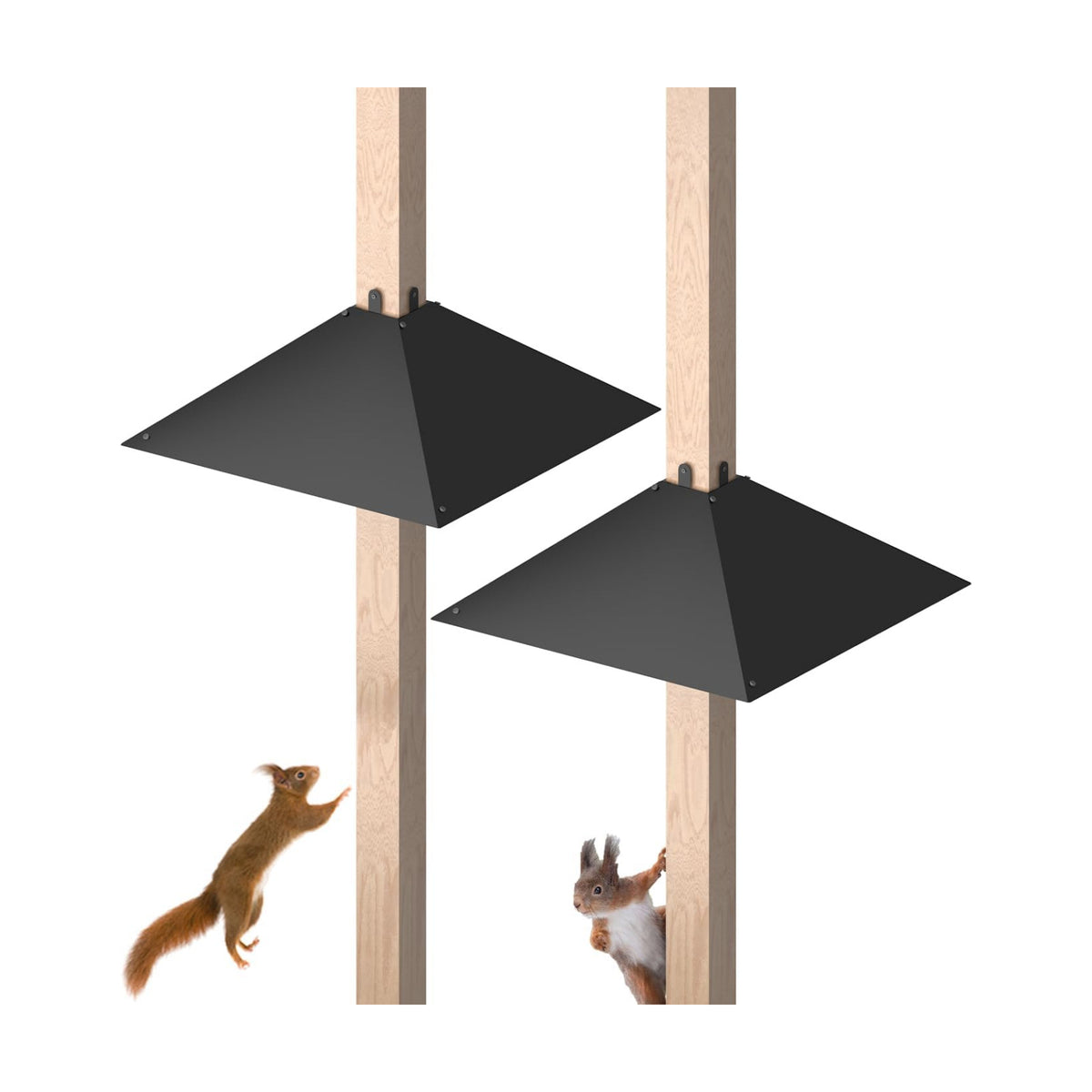 Queension 17 Inch Metal Squirrel Baffle for 4x4 Post and Wooden Pole, 2pcs