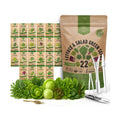 22 Lettuce & Salad Greens Seeds Variety Pack 24,700+ Non-GMO Heirloom Lettuce Seeds for Indoor & Outdoor Garden