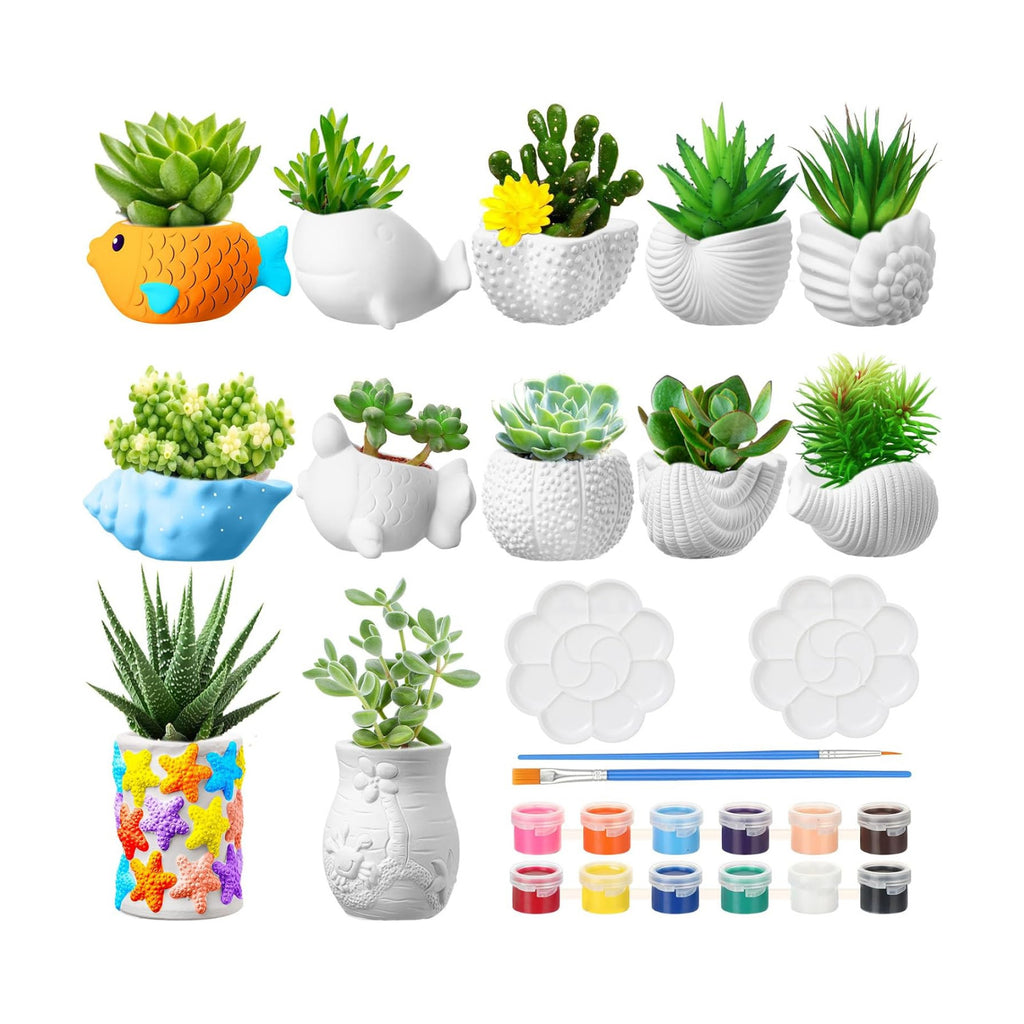 Hushee 12 Sets Ceramic Succulent Pots to Paint with Drainage | Paintable Succulent Plant Pots, 12 Styles, Small DIY
