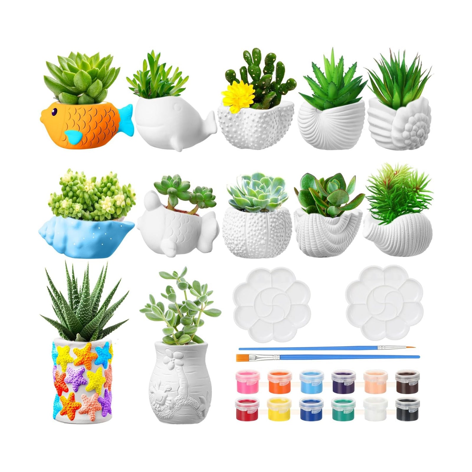 Hushee 12 Sets Ceramic Succulent Pots to Paint with Drainage | Paintable Succulent Plant Pots, 12 Styles, Small DIY