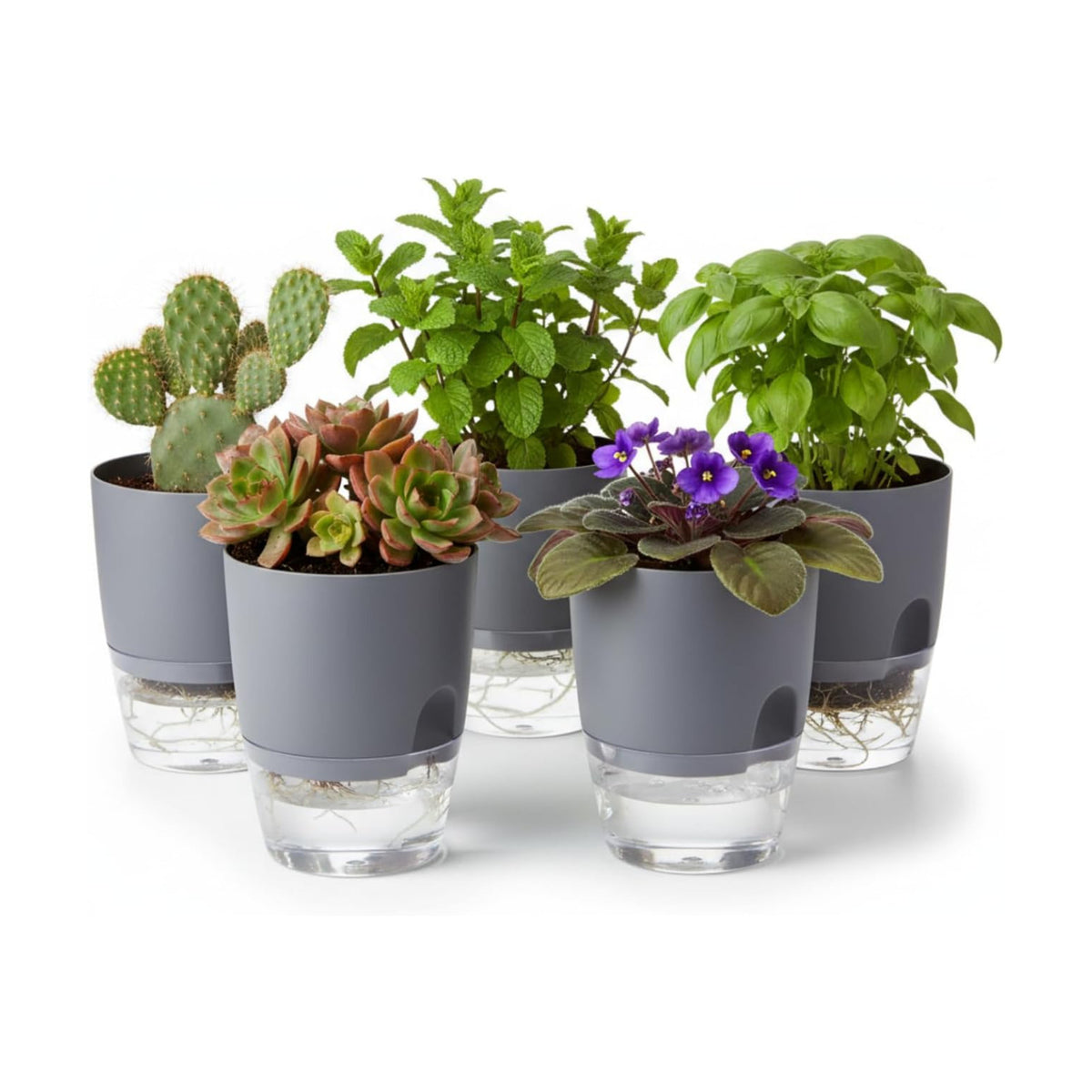 3.2 Inch Self Watering Planters 5 Pack Plastic Wicking Pots Grey