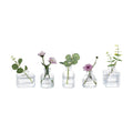 Glasseam Small Vases for Flowers, Clear Mini Glass Bud Vases Set of 5