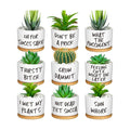 9 Pcs Funny Succulent Pots Ceramic Planters Bamboo Tray,Funny | Cute Aloe Cactus Planters with Drainage, White Mini