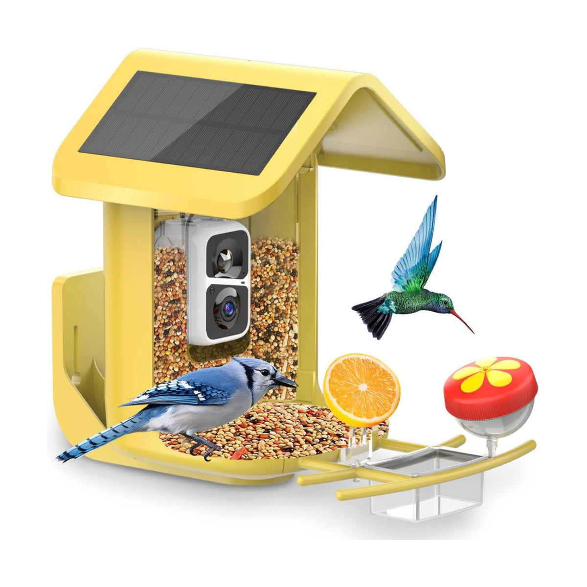 Smart Bird Feeder with Camera Solar Powered, 2K Live Stream for Backyard