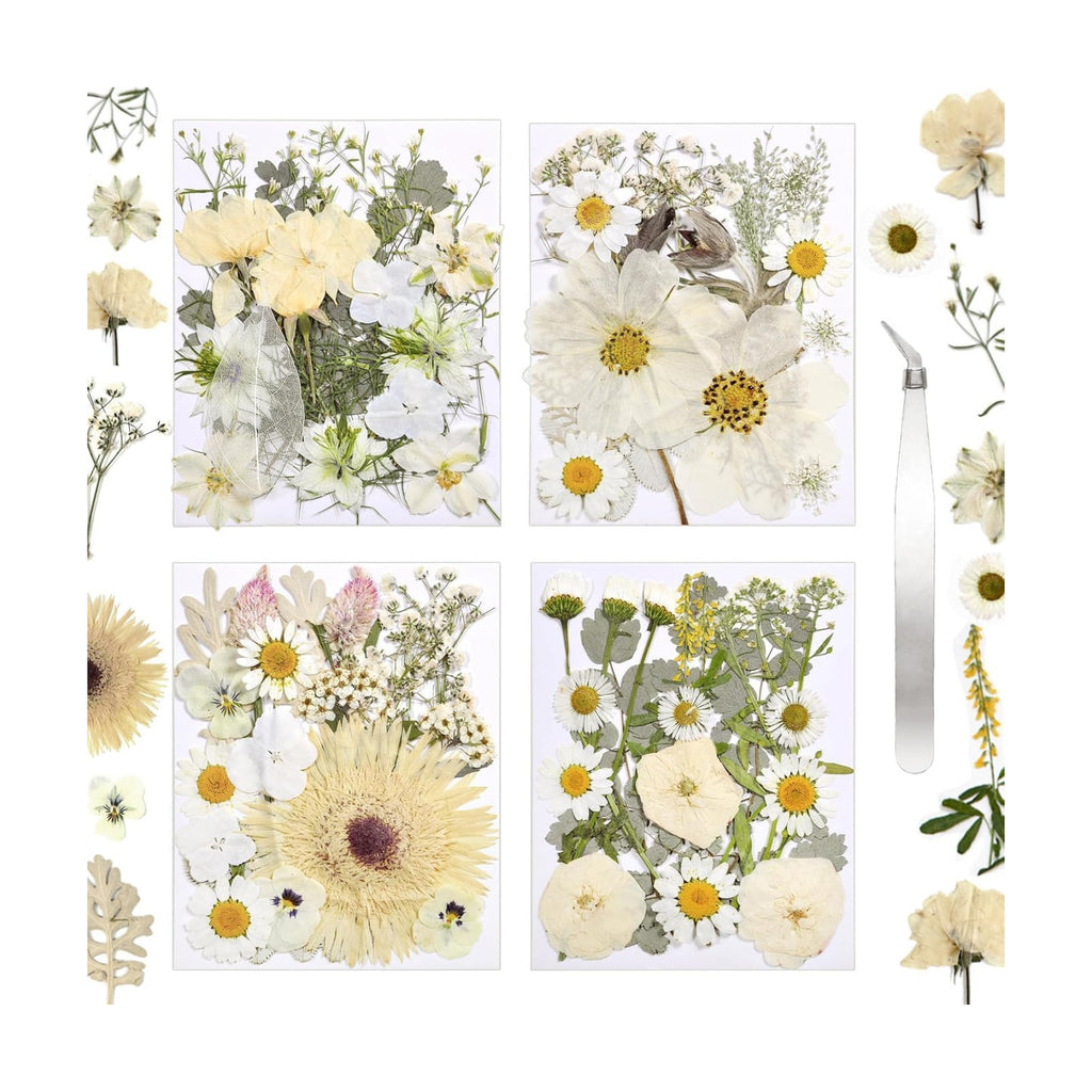 Dried Flowers for Resin