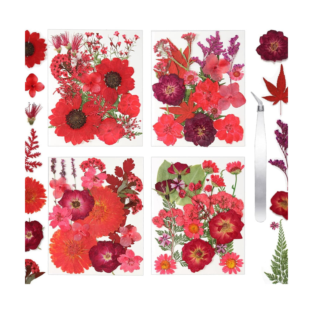 Dried Flowers for Resin Vacuum Packed DIY Pressed Flowers