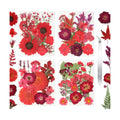 Dried Flowers for Resin Vacuum Packed DIY Pressed Flowers