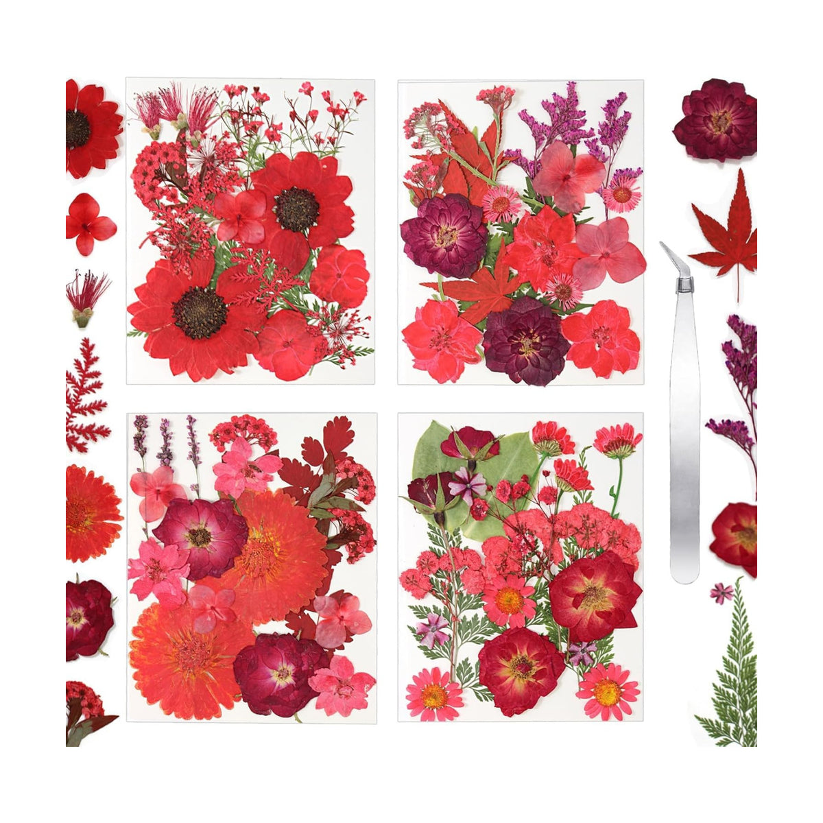 Dried Flowers for Resin Vacuum Packed DIY Pressed Flowers