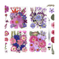 Dried Flowers for Resin Vacuum Packed DIY Pressed Flowers