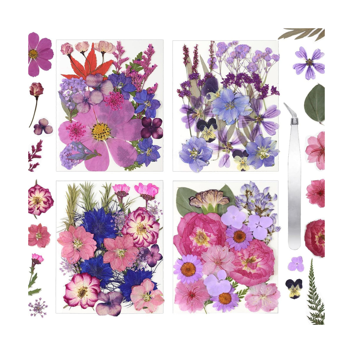 Dried Flowers for Resin Vacuum Packed DIY Pressed Flowers