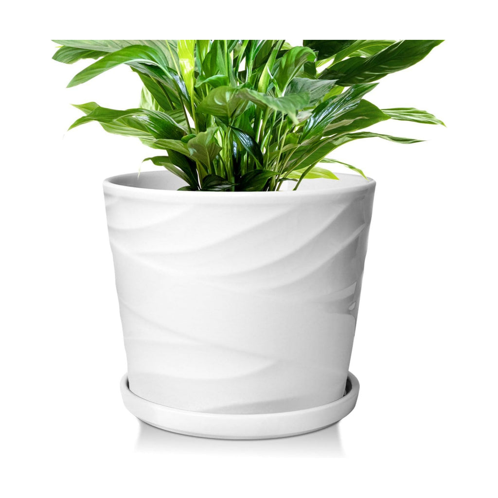 8 Inch Plant Pot,Ceramic Planter with Drainage and Saucer,Ceramic Pots for Plants,Indoor Plant pots,Ceramic Flower