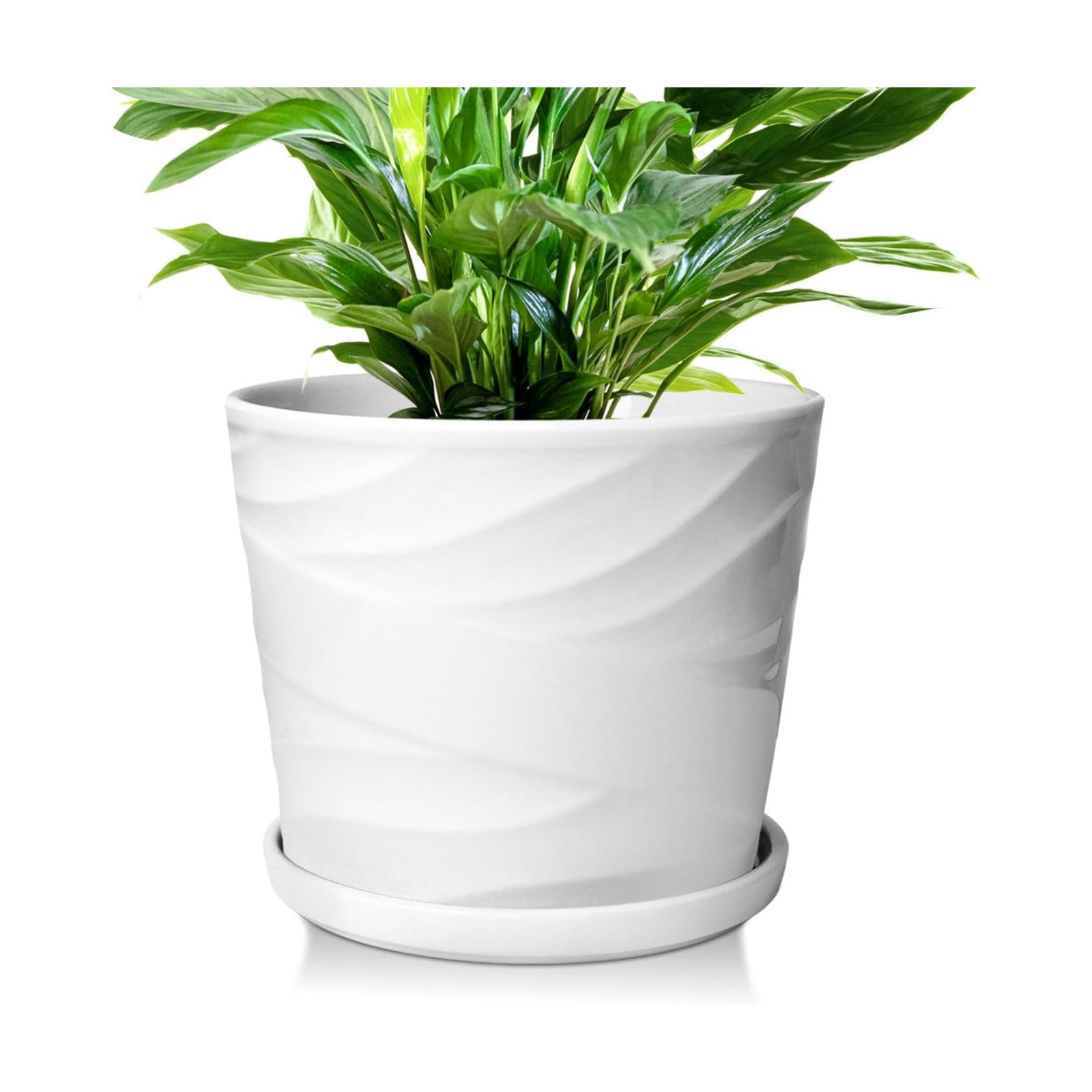 8 Inch Plant Pot,Ceramic Planter with Drainage and Saucer,Ceramic Pots for Plants,Indoor Plant pots,Ceramic Flower
