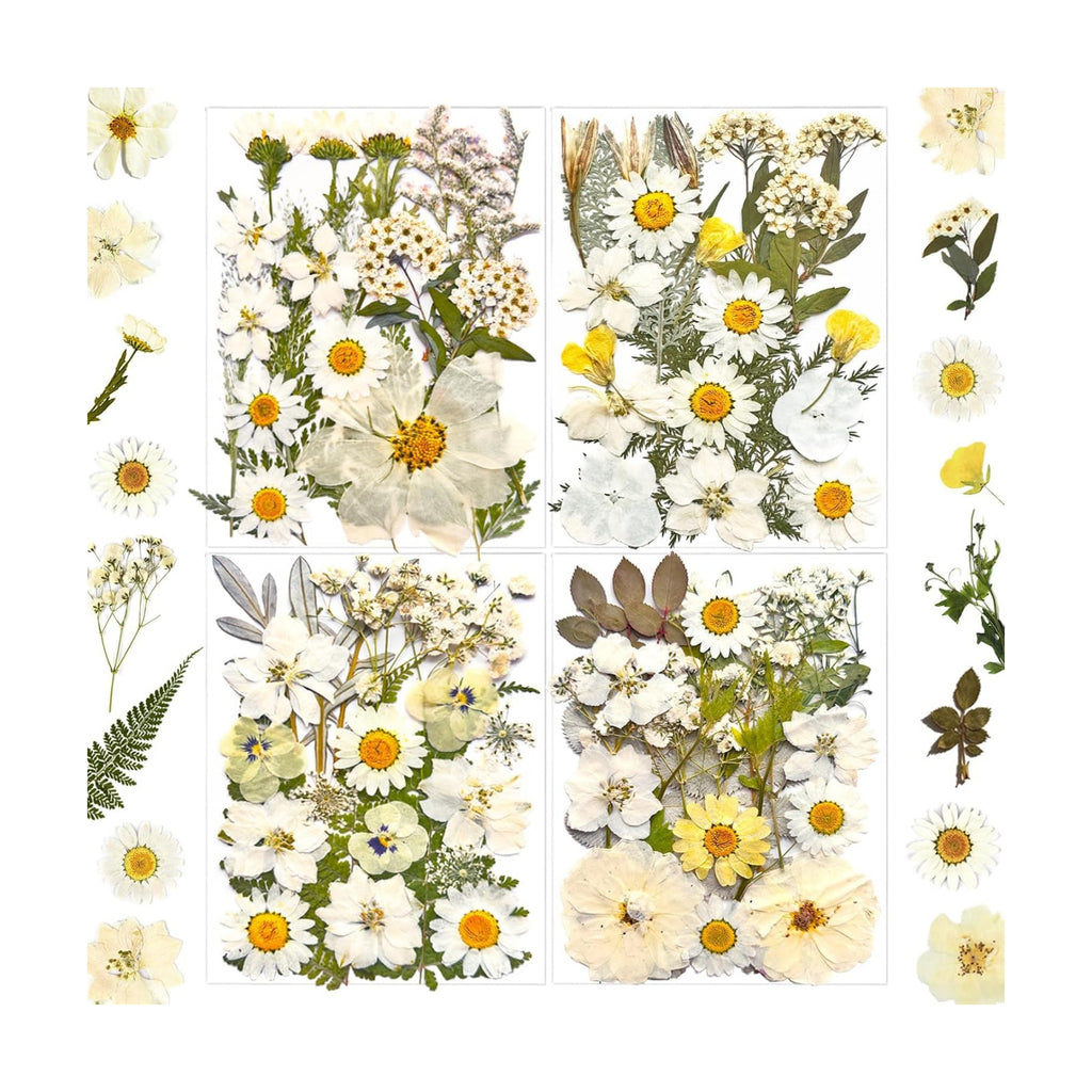 MIKIYA 90Pcs White Dried Pressed Flowers for Resin Molds, Real Natural Bulk Dry Floral Leaves for DIY Art Crafts, Epoxy Jewelry, Candle, Soap Making, Nails Decors Gifts