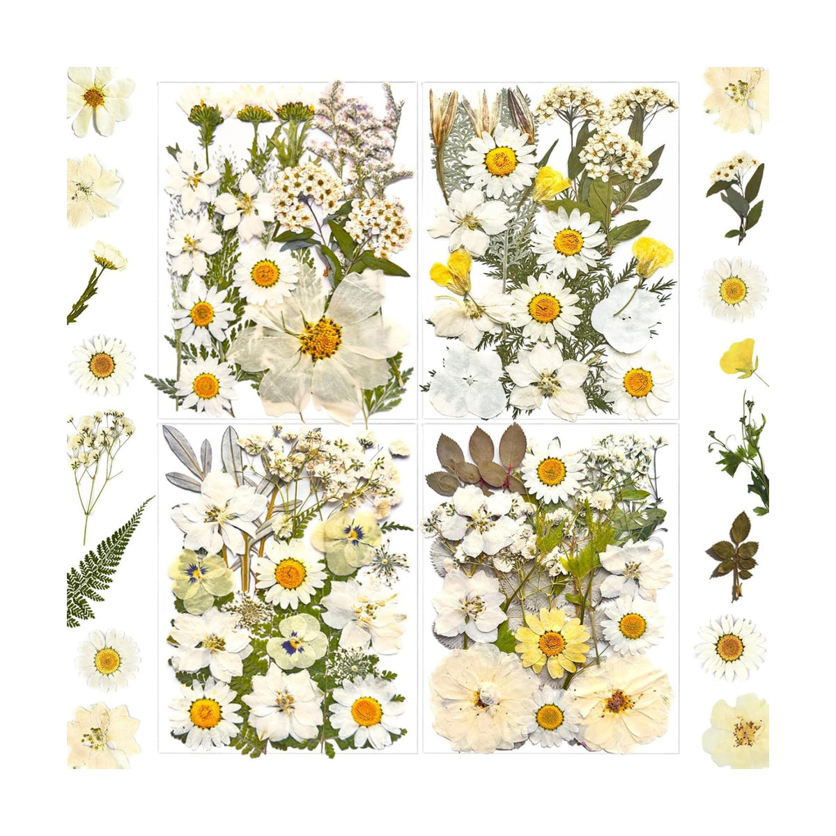 MIKIYA 90Pcs White Dried Pressed Flowers for Resin Molds, Real Natural Bulk Dry Floral Leaves for DIY Art Crafts, Epoxy Jewelry, Candle, Soap Making, Nails Decors Gifts