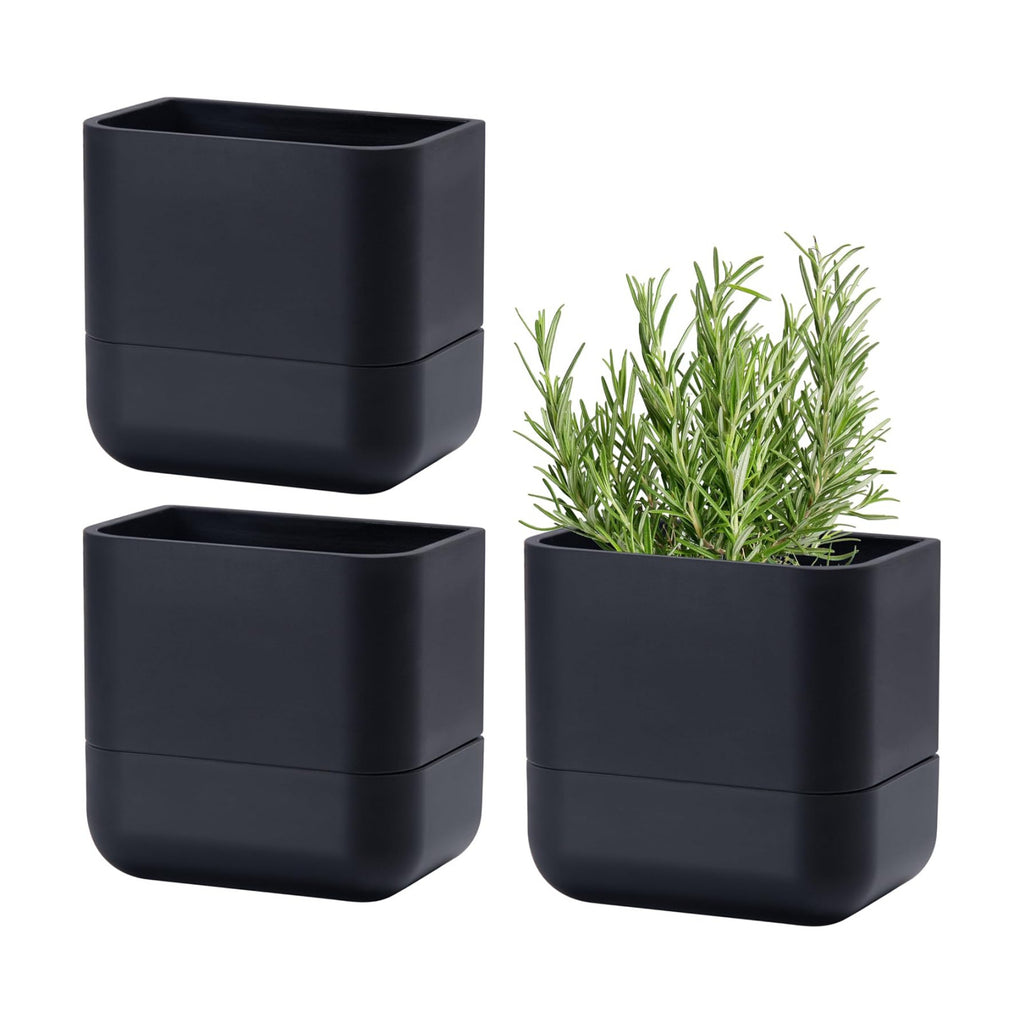Phoenix Vine 6.5 Inch Wall Mounted Self-Watering Planter Pot for Indoor Houseplants and Herbs | Hanging Planter for