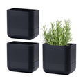 Phoenix Vine 6.5 Inch Wall Mounted Self-Watering Planter Pot for Indoor Houseplants and Herbs | Hanging Planter for