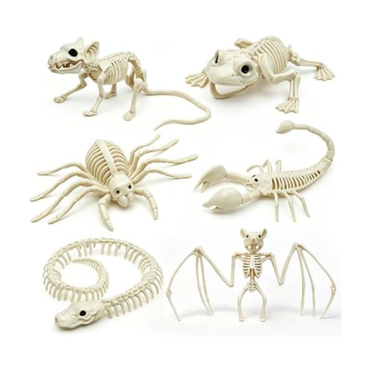 6PCS Halloween Animals Skeleton with Bendable Tails and Movable Jaws