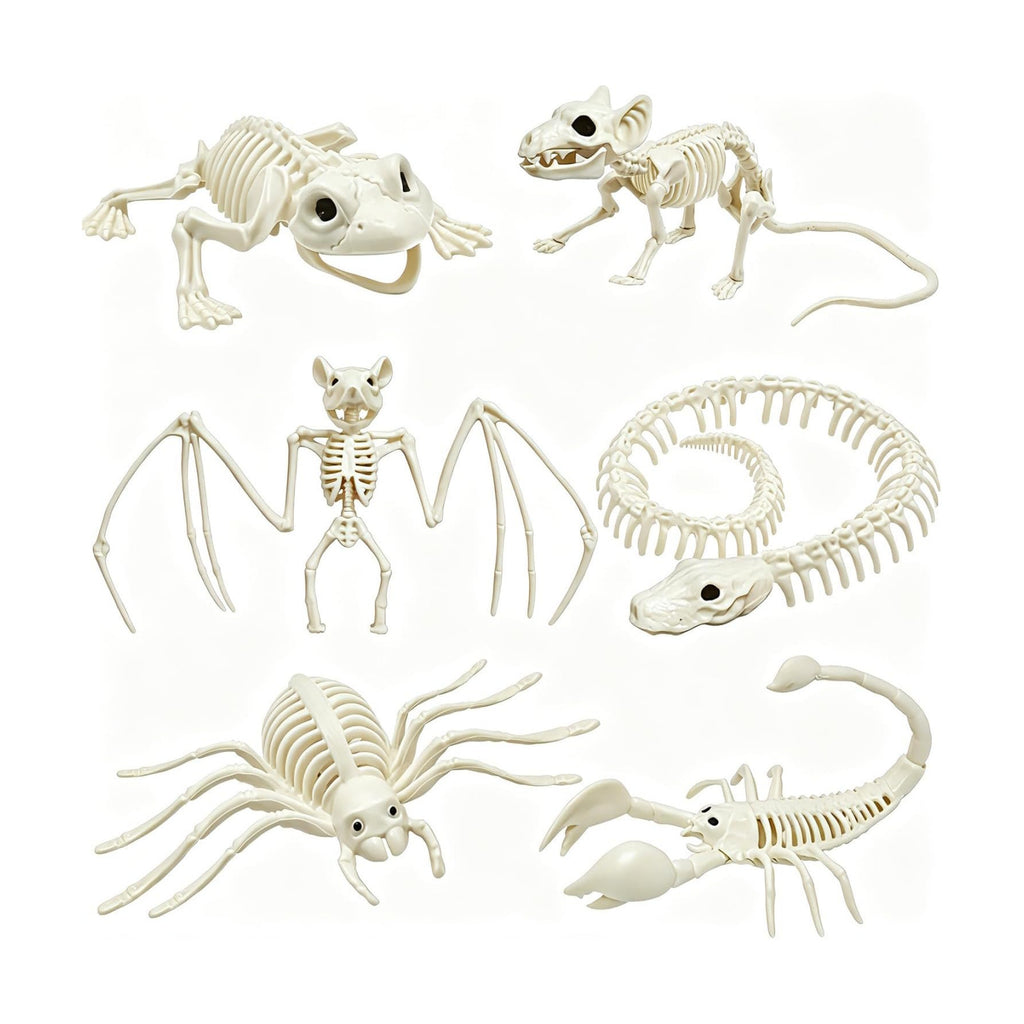CAMIRUS 6Pack Animal Halloween Skeletons, Realistic Animal Skeleton