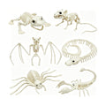 CAMIRUS 6Pack Animal Halloween Skeletons, Realistic Animal Skeleton