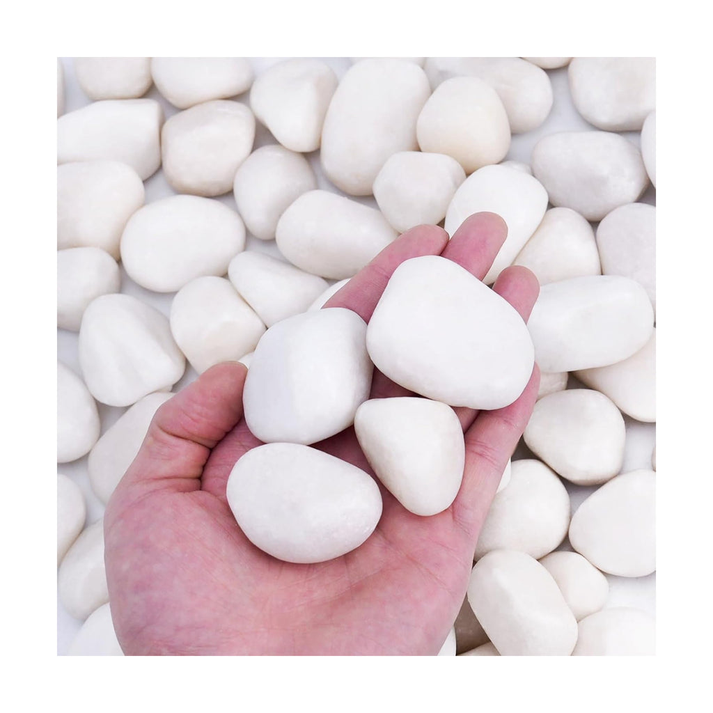 Pulovin 15 lbs White Rocks for Landscaping, Vases, Plants Indoor, 1-2 Inch | Large White Rocks for Plants, Decorative
