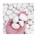 Pulovin 15 lbs White Rocks for Landscaping, Vases, Plants Indoor, 1-2 Inch | Large White Rocks for Plants, Decorative