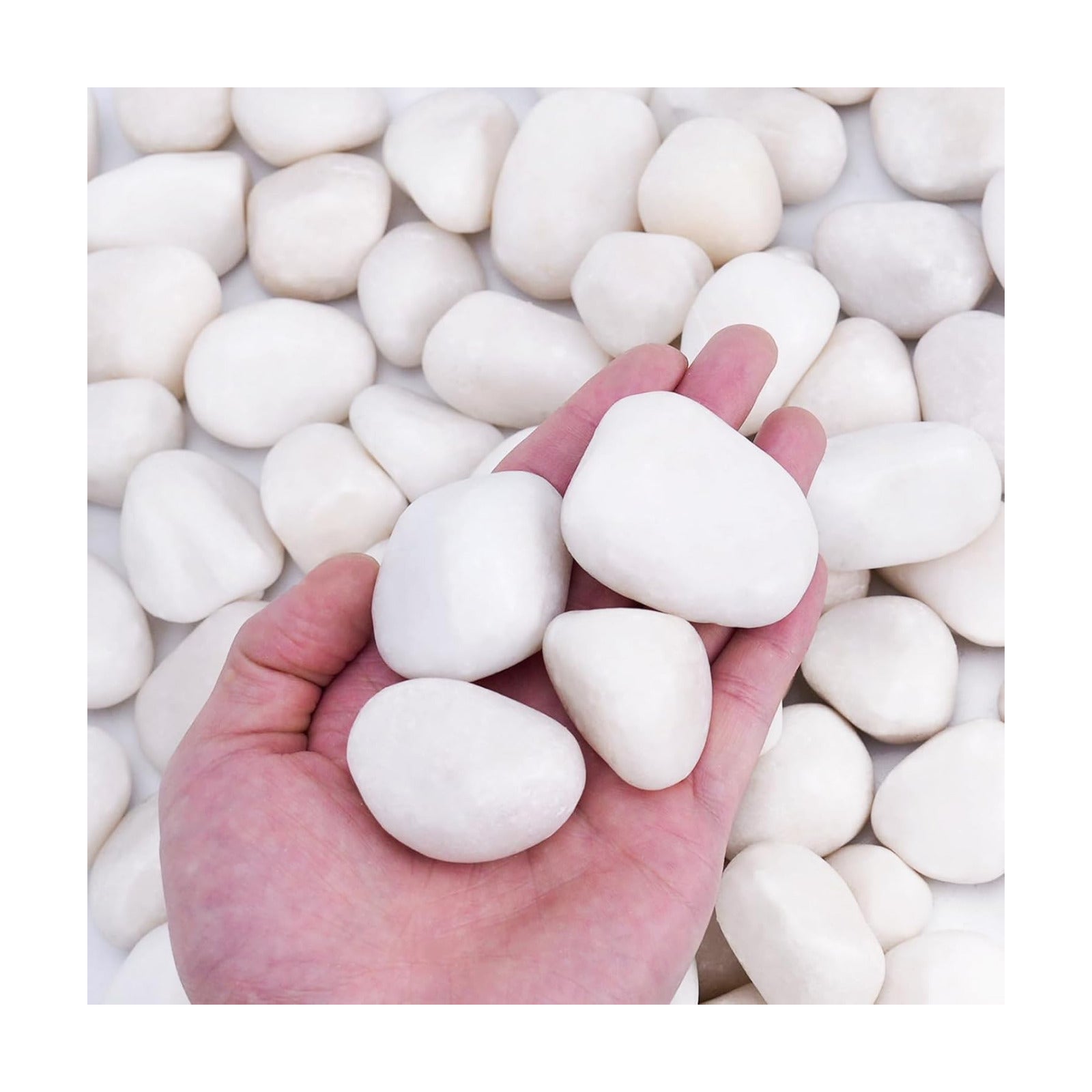 Pulovin 15 lbs White Rocks for Landscaping, Vases, Plants Indoor, 1-2 Inch | Large White Rocks for Plants, Decorative