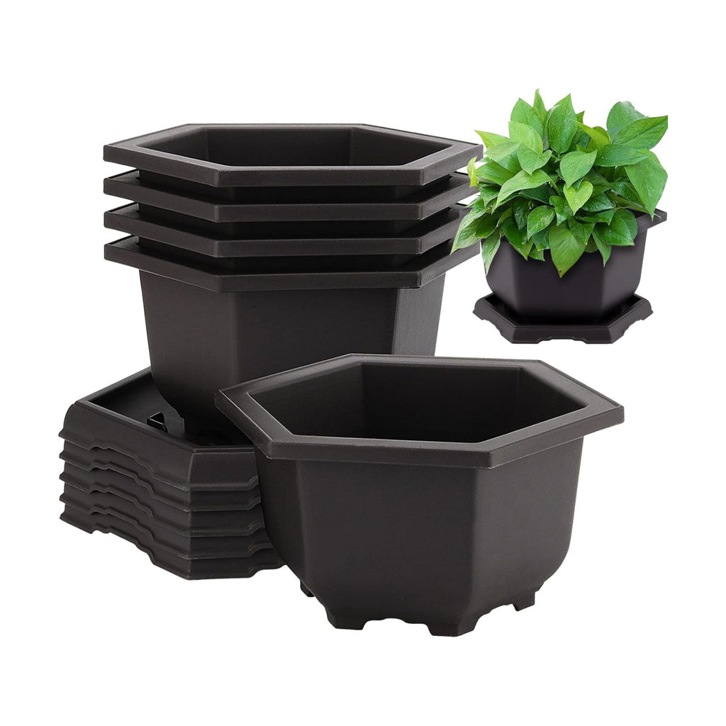 10 Pack 5.5 Inch Bonsai Pots, Hexagon Built in Mesh Plastic Bonsai Training Pots with Trays, Plant Flower Tree Growing