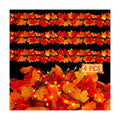 4Pack 36FT Plug in Fall Garland with Lights for Fall Decorations for Home