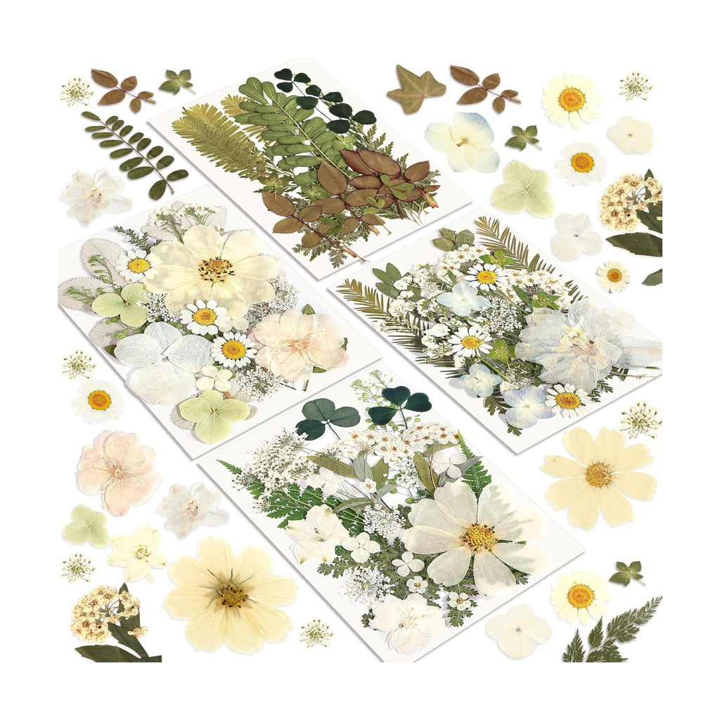 Dried Flowers, Resiners 100Pcs Pressed Flowers for Craft