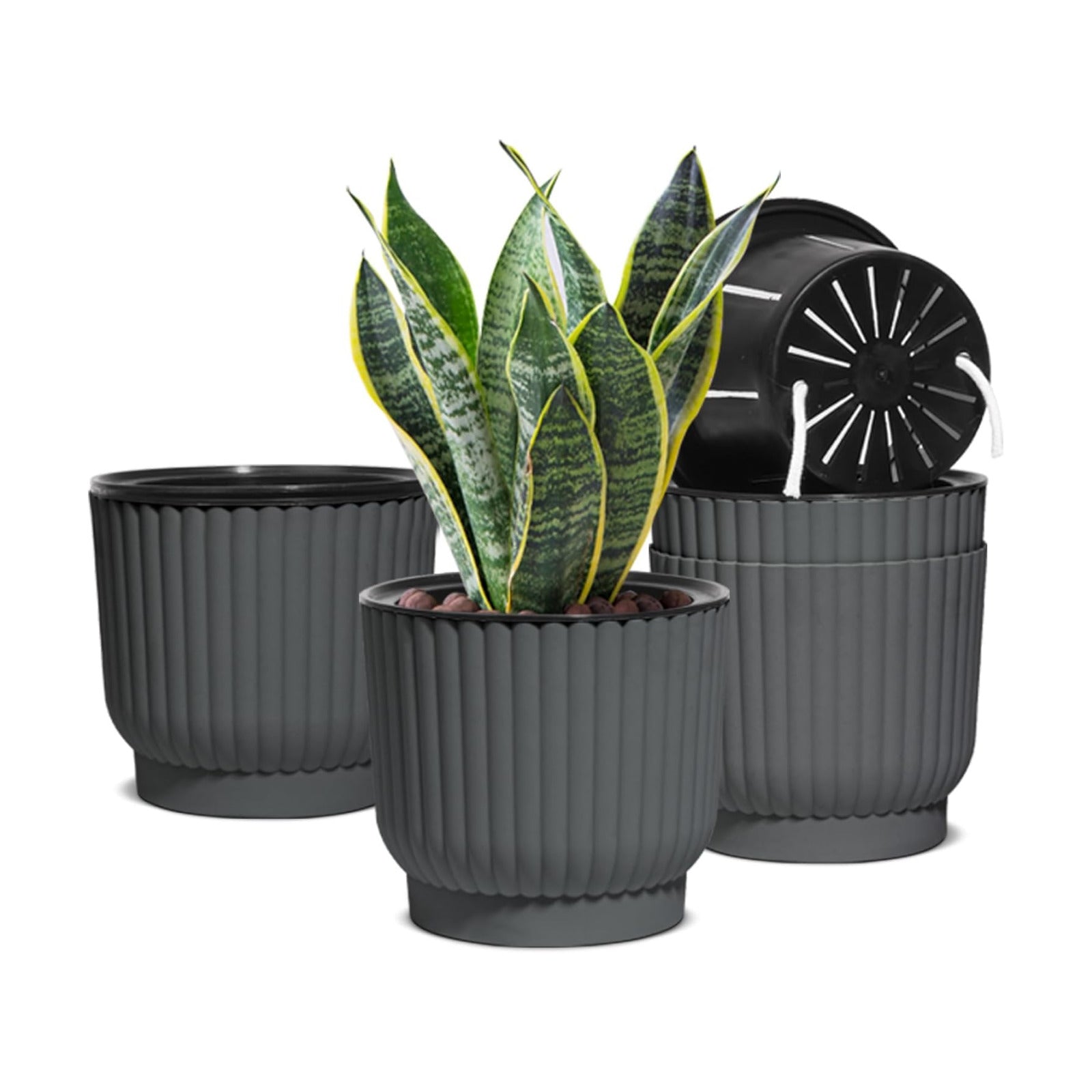 T4U Self Watering Pots for Indoor Plants, 7 Inch 4 Pack Planter Gray | African violet pothos ferns, Herb garden
