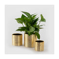 Indoor Plant Pot Flower Holder Ceramic Houseplant Pots Gold Shinny (Opening Size 4.1+3.5+2.6 inch) with Hole (Not