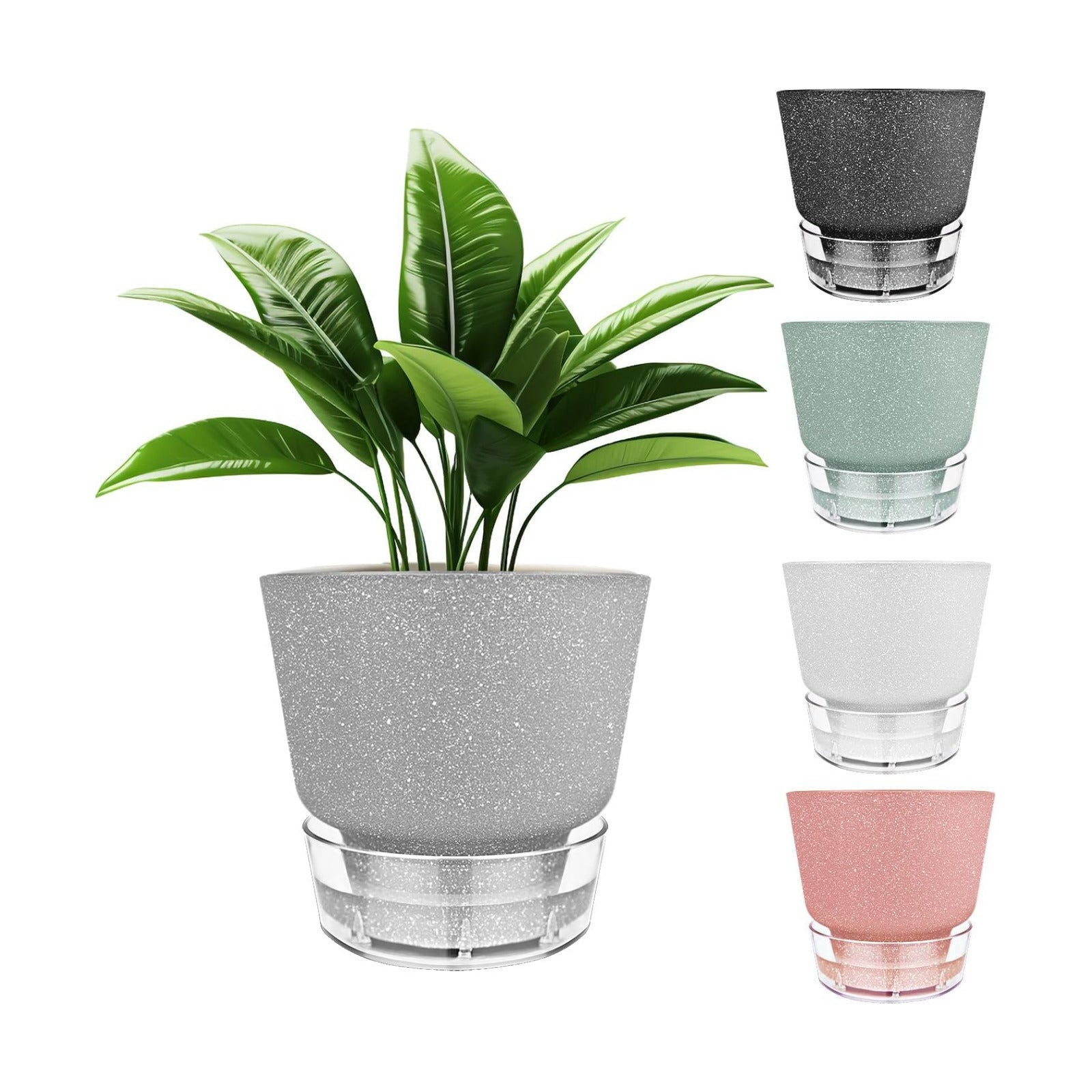 6-Inch Self-Watering Plant Pot with Visual Reservoir and Drainage Hole, Set of 5, Plastic Flower Pots, Planting Pot for