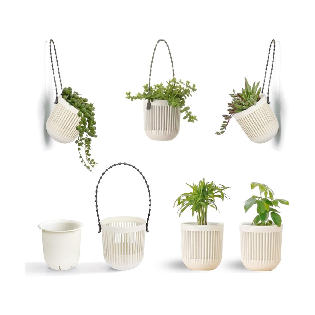 Succulent Tools and Plastic Succulent Pots