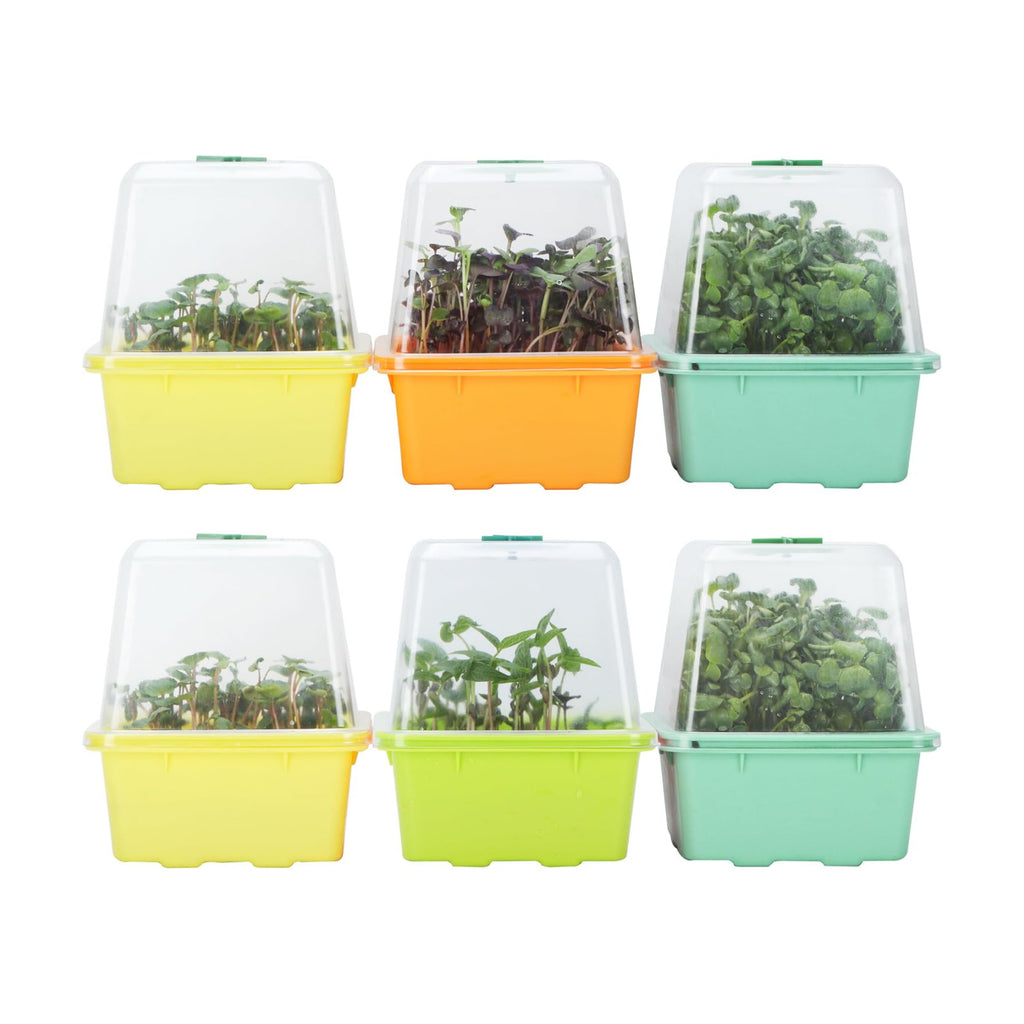 Microgreen Growing Trays, 5" x 5" Sprouting Tray with Humidity Dome, 1.2 mm Small Mesh Holes, BPA Free, Sprouter Kit