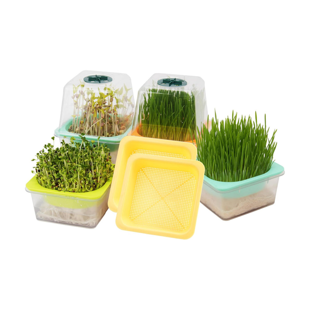 Microgreen Growing Trays, 5" x 5" Sprouting Tray with Humidity Dome, 1.2 mm Small Mesh Holes, BPA Free, Sprouter Kit